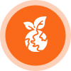 advicon3